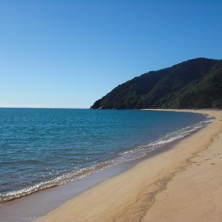 Parapara Cabbage Tree Chalet 빌라 객실 사진