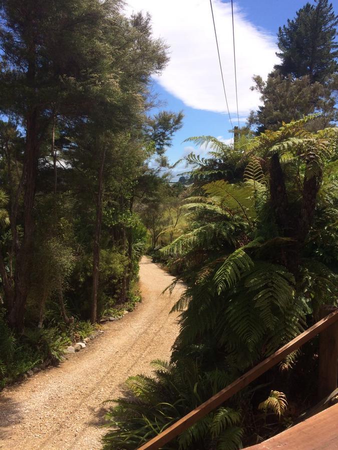 Parapara Cabbage Tree Chalet 빌라 외부 사진